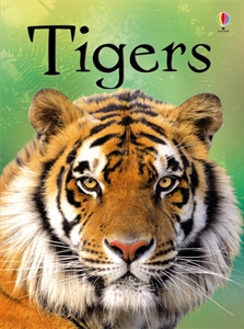 Tigers 2012